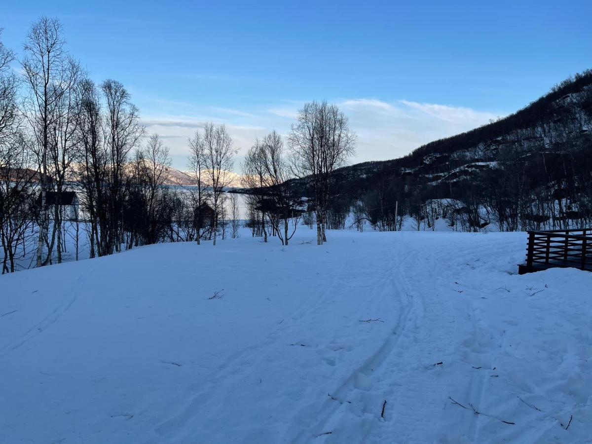 Aurora Woods Villa Skjervoy Eksteriør bilde